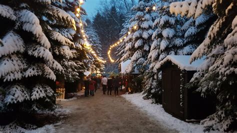 birreter weihnachtsmarkt|Birreter Weihnachtsmarkt findet im Wald statt